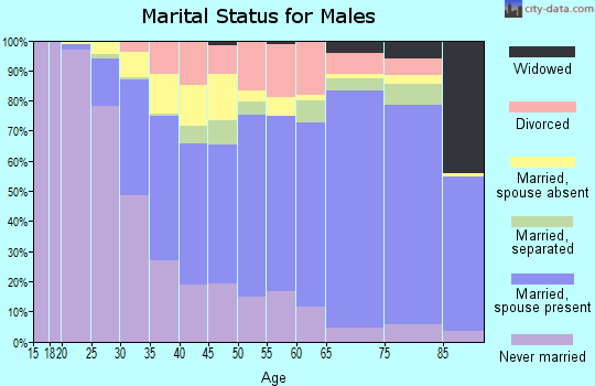Zip code 06902 marital status for males