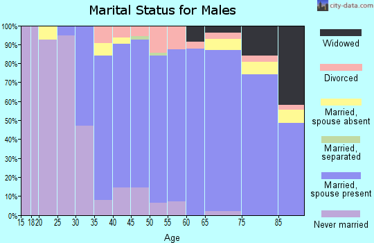 Zip code 06903 marital status for males