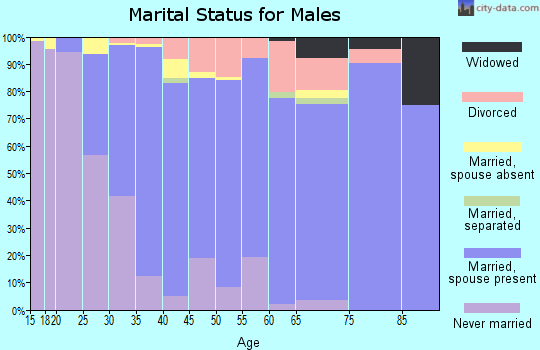 Zip code 06905 marital status for males