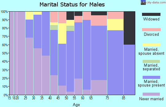 Zip code 06906 marital status for males