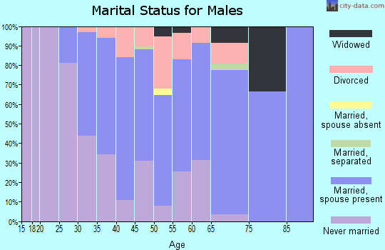 Zip code 06907 marital status for males