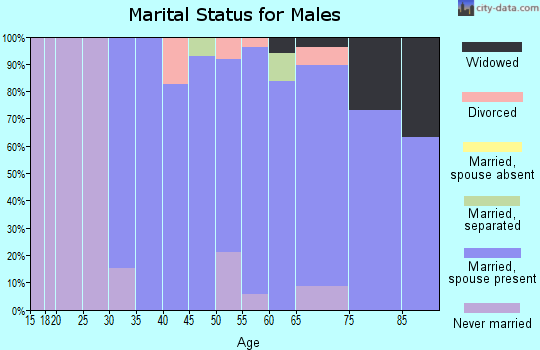 Zip code 07004 marital status for males