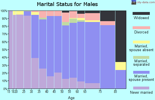 Zip code 07005 marital status for males