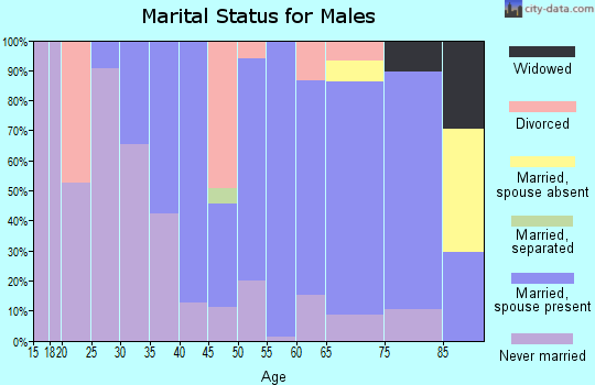 Zip code 07027 marital status for males