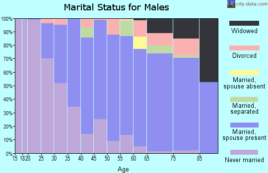 Zip code 07031 marital status for males