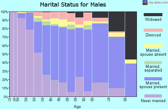 Zip code 07032 marital status for males