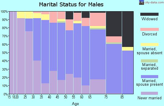 Zip code 07035 marital status for males