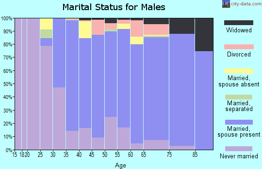 Zip code 07040 marital status for males
