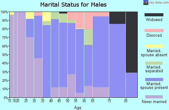 Zip code 07041 marital status for males