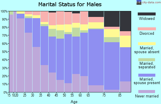Zip code 07047 marital status for males