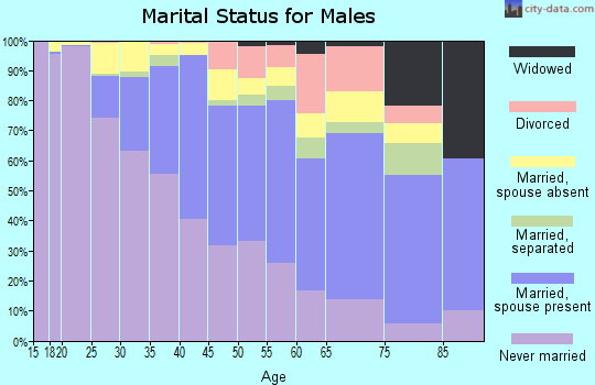 Zip code 07055 marital status for males