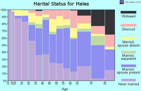Zip code 07060 marital status for males
