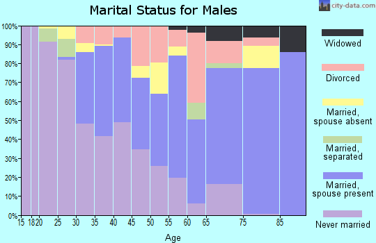 Zip code 07062 marital status for males