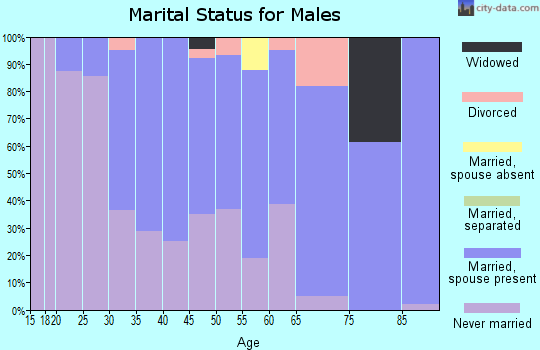 Zip code 07064 marital status for males