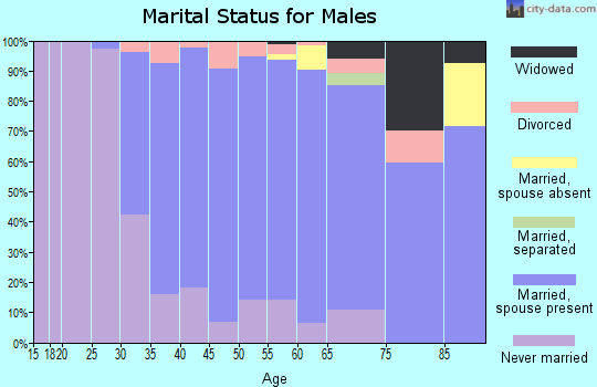 Zip code 07066 marital status for males