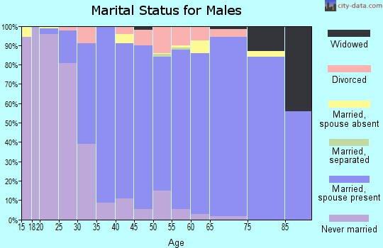 Zip code 07067 marital status for males