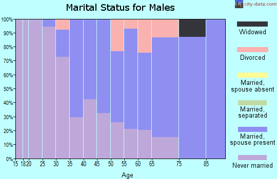 Zip code 07077 marital status for males