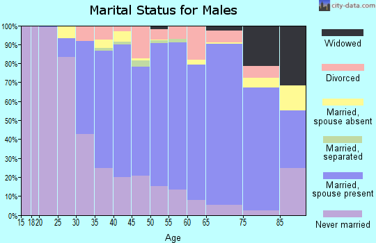 Zip code 07080 marital status for males