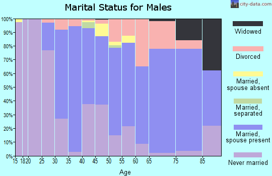 Zip code 07081 marital status for males