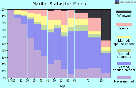 Zip code 07087 marital status for males