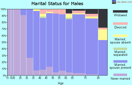 Zip code 07090 marital status for males