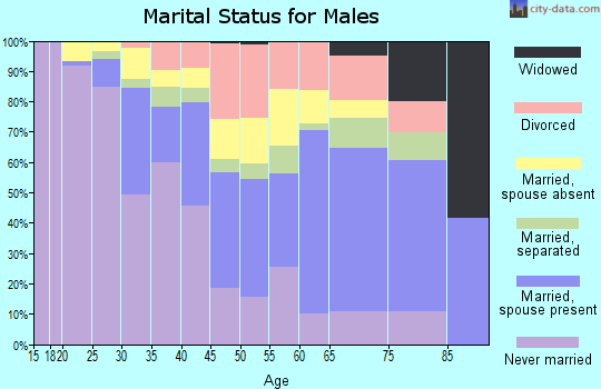 Zip code 07106 marital status for males