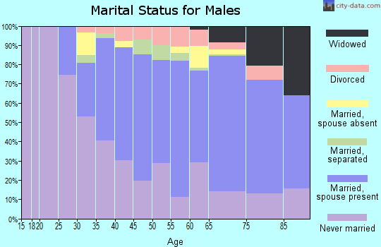 Zip code 07203 marital status for males