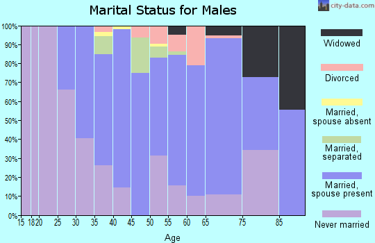 Zip code 07204 marital status for males