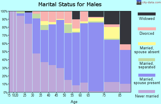 Zip code 07205 marital status for males