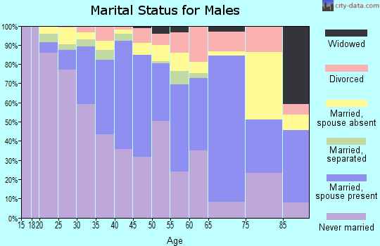 Zip code 07206 marital status for males