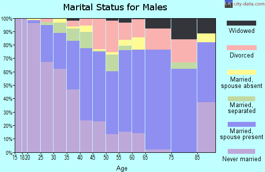 Zip code 07208 marital status for males
