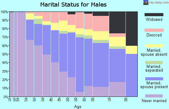 Zip code 07304 marital status for males