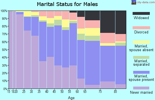 Zip code 07305 marital status for males