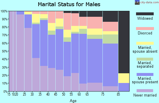 Zip code 07306 marital status for males