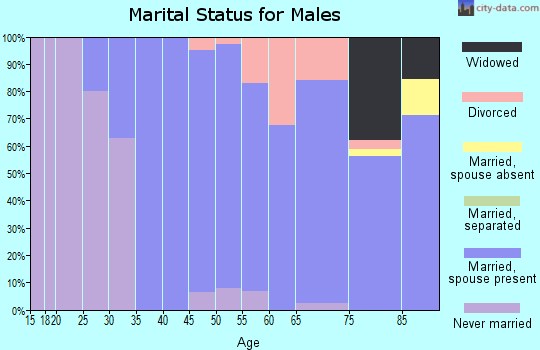 Zip code 07401 marital status for males