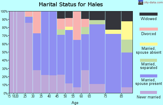 Zip code 07403 marital status for males