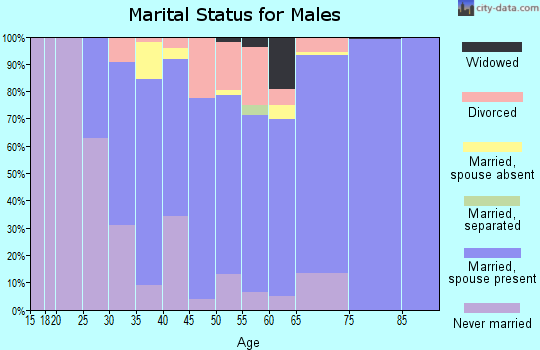 Zip code 07419 marital status for males