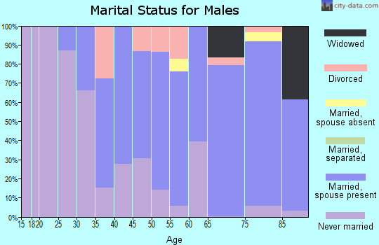 Zip code 07444 marital status for males