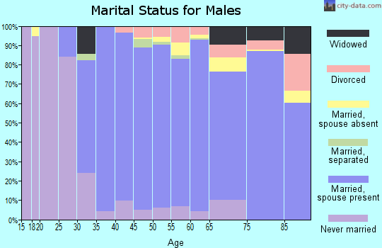 Zip code 07450 marital status for males