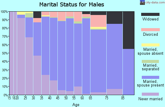 Zip code 07461 marital status for males