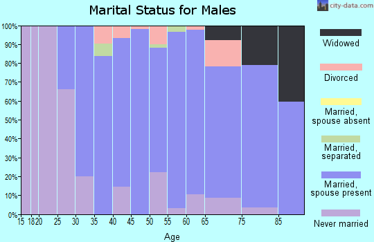 Zip code 07463 marital status for males