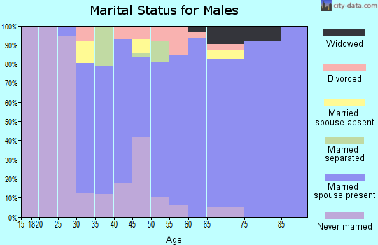 Zip code 07465 marital status for males