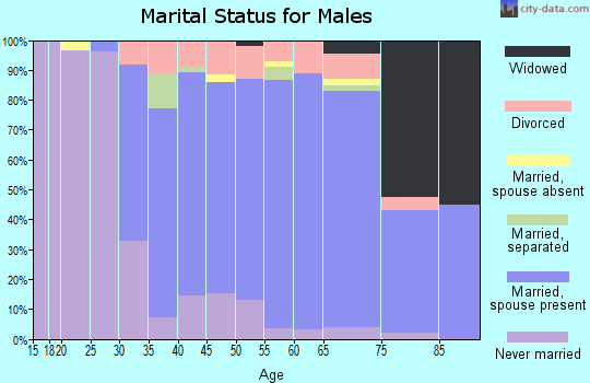Zip code 07480 marital status for males