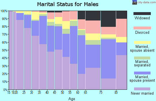 Zip code 07501 marital status for males