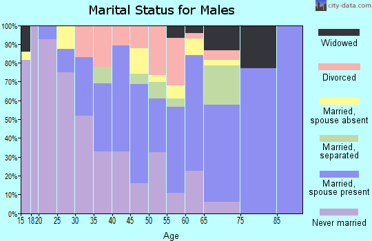 Zip code 07502 marital status for males