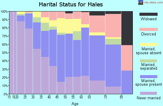 Zip code 07503 marital status for males