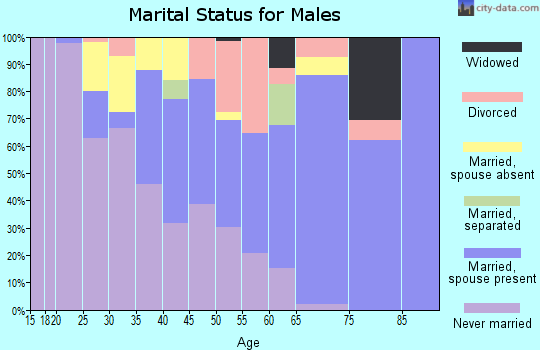Zip code 07504 marital status for males