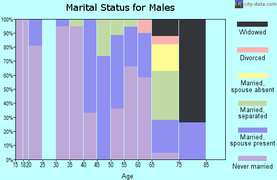 Zip code 07505 marital status for males