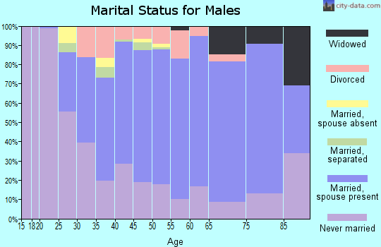 Zip code 07506 marital status for males