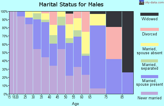 Zip code 07513 marital status for males
